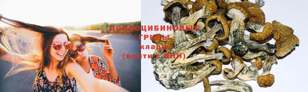 ALPHA PVP Алексин