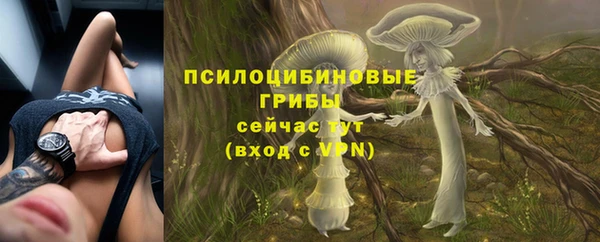 трава Алзамай