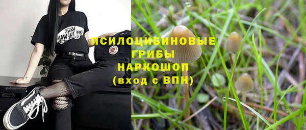 ALPHA PVP Алексин