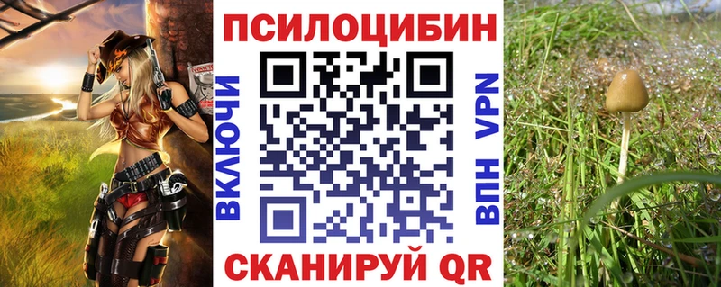 Псилоцибиновые грибы мухоморы  мориарти какой сайт  Мантурово  цена наркотик 